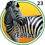 23