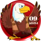 09