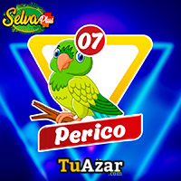 07